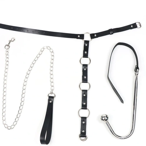 Anal Hooks Anal Hook 5853 EverydayUse Kinky and Leash Collar with 0830